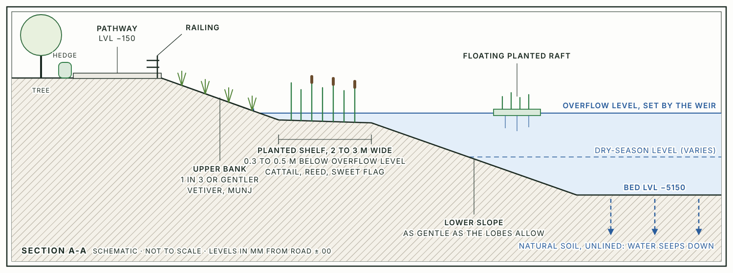 Section A-A through the bank. From left to right: a boundary tree, the hedge, the pathway with a railing, a planted upper bank sloping down to a level planted shelf just under the overflow level, a lower slope, and the unlined bed where water seeps into the ground.